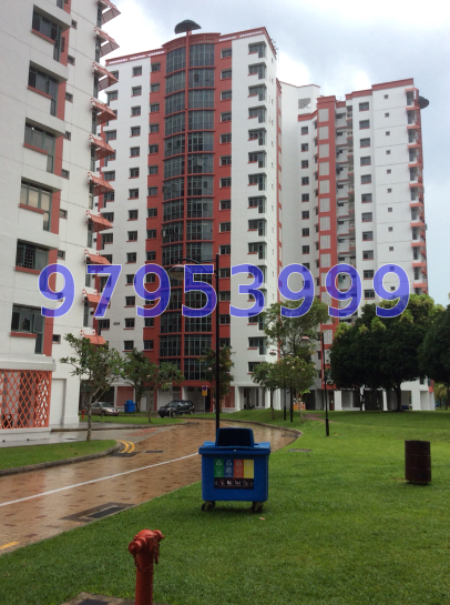 Choa Chu Kang Avenue 4 thumbnail photo